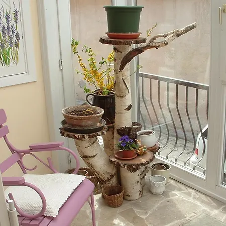 Paty Guesthouse