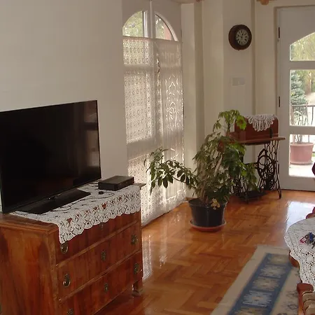 Paty Guesthouse